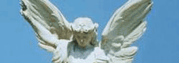 Local Angel